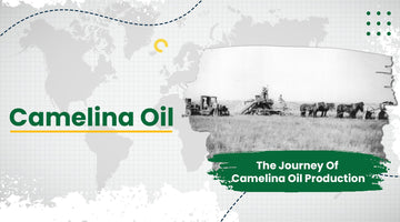 Camelina Oil