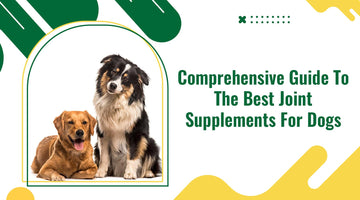 Comprehensive Guide to the Best Joint Supplements for Dogs