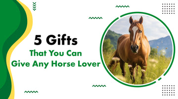 Gifts That You Can Give Any Horse Lover