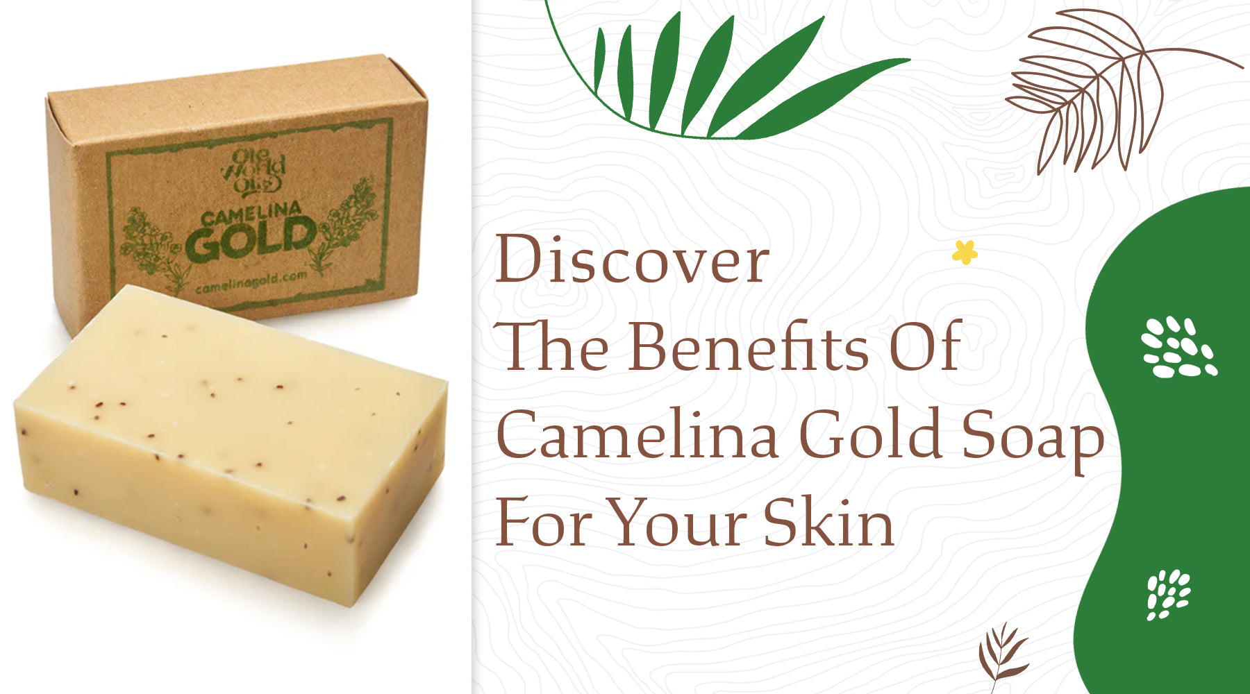 Discover the Benefits of Camelina Gold Soap for Your Skin