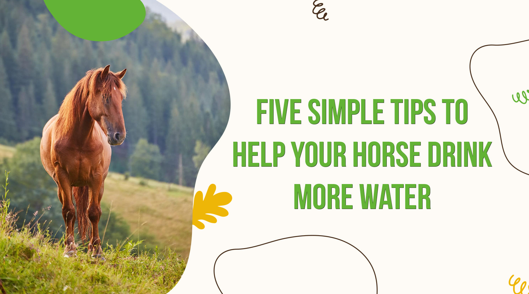 Five Simple Tips to Help Your Horse Drink More Water