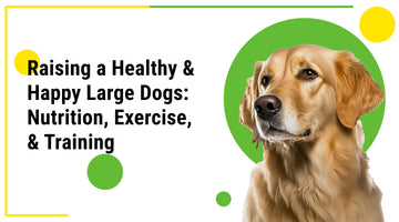 Raising a Healthy & Happy Large Dogs: Nutrition, Exercise, & Training