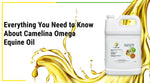 Everything You Need to Know About Camelina Omega Equine Oil