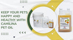 Keep Your Pets Happy and Healthy With Camilina Pet Oil