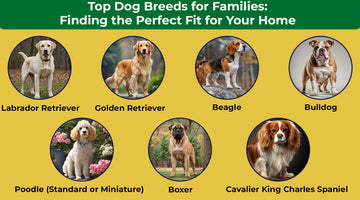 Top Dog Breeds for Families